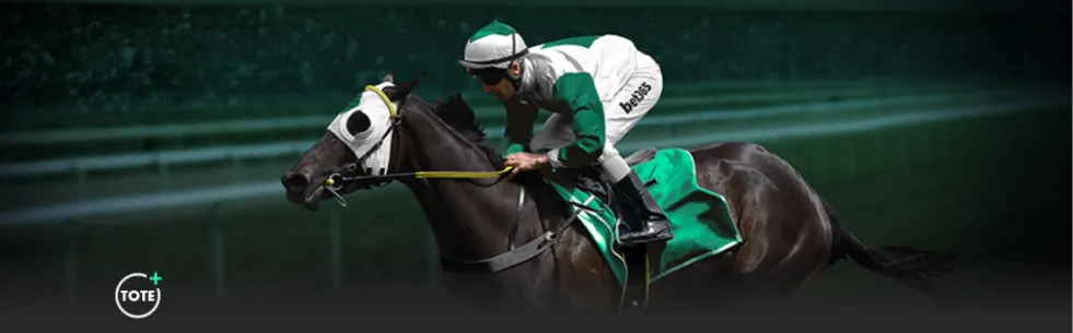 勞塔羅超越,奧斯梅恩,斯特拉馬喬,永利高70net集团,永利高70net官方,永利高70net登录